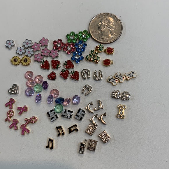 Mini Charms for Locket and Crafts - Picture 2 of 2